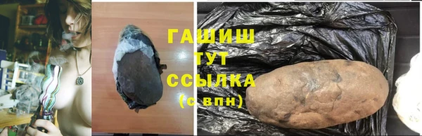 шишки Богородицк
