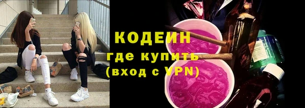 шишки Богородицк