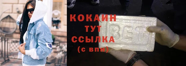 шишки Богородицк