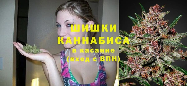 шишки Богородицк