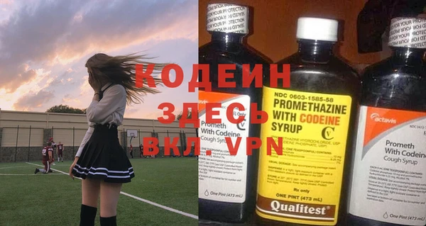 шишки Богородицк