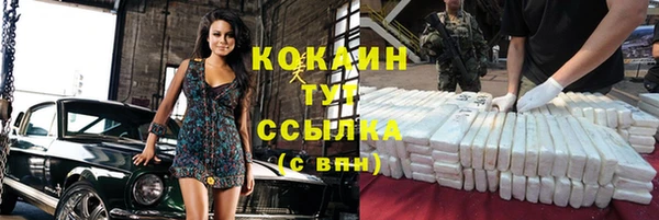 шишки Богородицк
