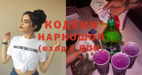 шишки Богородицк