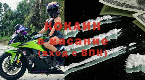 шишки Богородицк