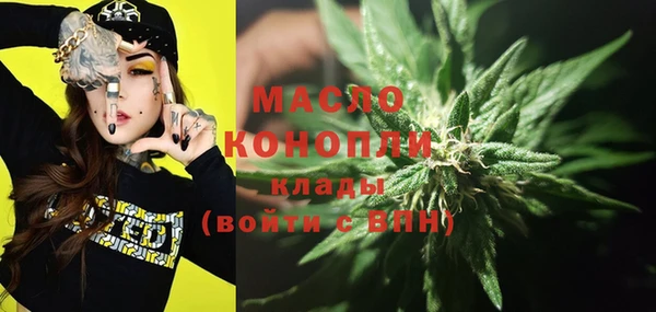 шишки Богородицк