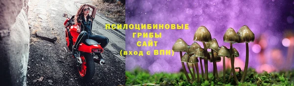 a pvp Богородск