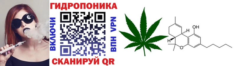 МАРИХУАНА White Widow  где найти наркотики  Пестово 